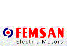 FEMSAN